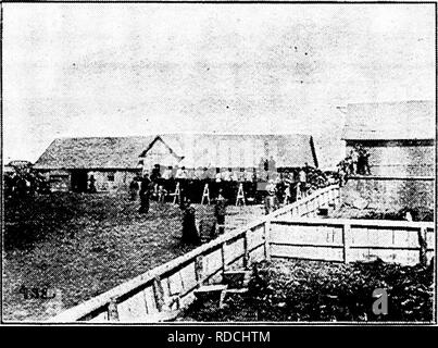 . Histoire de bovins Hereford : prouvé de façon concluante la plus ancienne d'espèces améliorées . Bovins Hereford. Annexe 543 par la foudre et le deuxième incendie a pensé qu'est le travail d'un engin incendiaire. Ulti- ron il a disposé de tous ses Herefords, et vendu la propriété d'Beecher. Dans le but d'échapper à l'hivers froids du Nord, les dernières années de sa vie ont été consacrées à la Floride. Travailleur infatigable, toujours ses énergies étaient hy ne se limite pas à s'occuper de sa ferme et l'élevage de bétail. Il est devenu le pilier de l'église à Beecher et de son pasteur, à un moment où la petite com- Banque D'Images