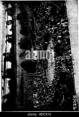 . Histoire de bovins Hereford : prouvé de façon concluante la plus ancienne d'espèces améliorées . Bovins Hereford. c s Z &Lt ;. Veuillez noter que ces images sont extraites de la page numérisée des images qui peuvent avoir été retouchées numériquement pour plus de lisibilité - coloration et l'aspect de ces illustrations ne peut pas parfaitement ressembler à l'œuvre originale.. Miller, T. L. (Timothy Lathrop), 1817-1900 ; Sotham, Wm. H. (William H. ). Chillicothe, F. B. T. : Ve Sotham Banque D'Images