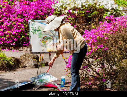 Portland, Oregon, USA - Le 29 avril 2014 : une dame artiste peint dans Crystal Spring Gardens, Portland, Oregon Banque D'Images