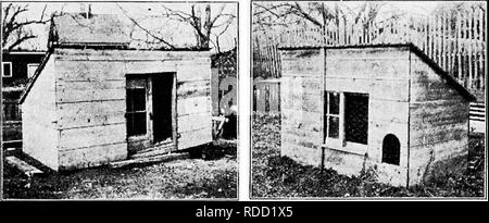 . Principes et pratiques de la culture de la volaille . La volaille. Kii ;. I7-- J'oop avec porte fenêtre en Fig. 17J. Coop avec chick porte. Veuillez noter que ces images sont extraites de la page numérisée des images qui peuvent avoir été retouchées numériquement pour plus de lisibilité - coloration et l'aspect de ces illustrations ne peut pas parfaitement ressembler à l'œuvre originale.. Robinson, John H. (John Henry), 1863-1935. Boston ; New York : Ginn et compagnie Banque D'Images