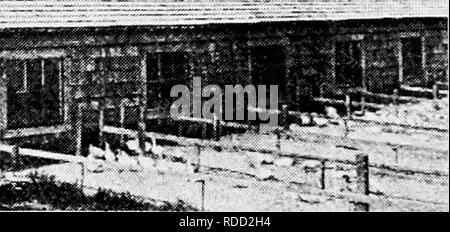 . Principes et pratiques de la culture de la volaille . La volaille. J'iil. 51. Haby canards (une semaine) ; la Division fii. 5^. Haby canards (deux semaines) Fig. 53. Couveuse froid chambre. Canetons (trois semaines) maisons de la couveuse À WEBER BROTHERS' de canard 5 =. Veuillez noter que ces images sont extraites de la page numérisée des images qui peuvent avoir été retouchées numériquement pour plus de lisibilité - coloration et l'aspect de ces illustrations ne peut pas parfaitement ressembler à l'œuvre originale.. Robinson, John H. (John Henry), 1863-1935. Boston ; New York : Ginn et compagnie Banque D'Images