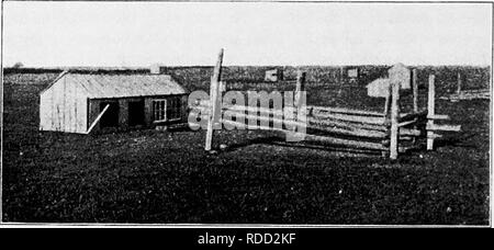 . Principes et pratiques de la culture de la volaille . La volaille. Fli. Domaine sliowing système S. colonie à Liltle Complon. Kliodc Island. Fic. 9. L'une des maisons basses en 1-ig. S. Wlien les bovins sont dans le pâturage la clôture est ajusté pour les garder J'ai le rhum des poules d'eau et de nourriture. Veuillez noter que ces images sont extraites de la page numérisée des images qui peuvent avoir été retouchées numériquement pour plus de lisibilité - coloration et l'aspect de ces illustrations ne peut pas parfaitement ressembler à l'œuvre originale.. Robinson, John H. (John Henry), 1863-1935. Boston ; New York : Ginn et compagnie Banque D'Images