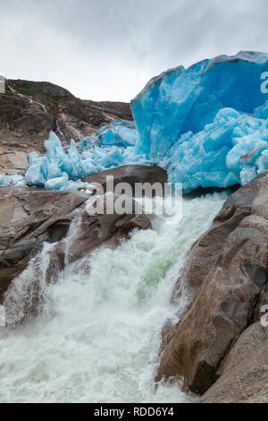 Glacier Nigardsbreen face terminal, le Parc National de Jostedalsbreen, Sogn og Fjordane, en Norvège, en Scandinavie. Nigardsbreen est un bras du glacier du Grand Jo Banque D'Images