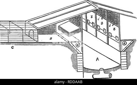 . L'élevage de volaille Geyelin, dans un point de vue commercial, telle que pratiquée par l'entreprise National de la volaille (limited), Bromley, Kent. Incubation naturelle et artificielle, élevage et viande, le tout nouveau et principes scientifiques, avec tous les plans, élévations, coupes et détails, et un avis de la volaille en France. La volaille. 52 en volaille de reproduction. Fig. 18. Artlflolal homo-Roulement Section Perspective. Référence à l'article point de vue de l'élevage artificiel Accueil. ^ est un passage irrécupérables bordée par des murs de brique, le sol constitué de béton, avec une disposition de drainag Banque D'Images
