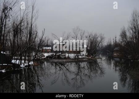 Srinagar, Jammu-et-Cachemire, en Inde. 17 Jan, 2019. snow covered valley après les fortes chutes de neige dans la région de Srinagar, la capitale d'été du Cachemire sous contrôle indien. Cachemire a vu sa première neige. Credit : Masrat Zahra/ZUMAPRESS.com/Alamy Live News Banque D'Images