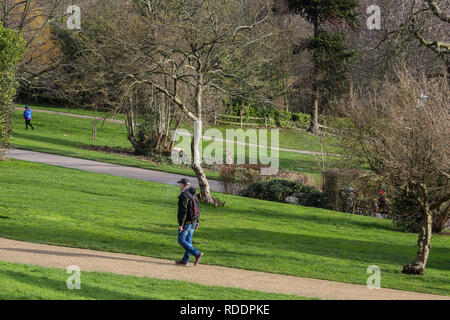 Londres, Royaume-Uni. 18 janvier, 2019. Un couple dans un parc sur un froid, venteux et journée ensoleillée à Londres. Credit : Dinendra Haria SOPA/Images/ZUMA/Alamy Fil Live News Banque D'Images