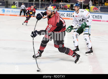 18 janvier 2019, Bavaria, Munich : hockey sur glace : DEL, Red Bull EHC Munich - Augsburger Panther, tour principal, 40e journée à la glace olympique Sport Center à Munich. Konrad Abeltshauser (l) de Munich et d'Augsbourg Payerl Adam lutte pour la rondelle. Photo : Tobias Hase/dpa Banque D'Images