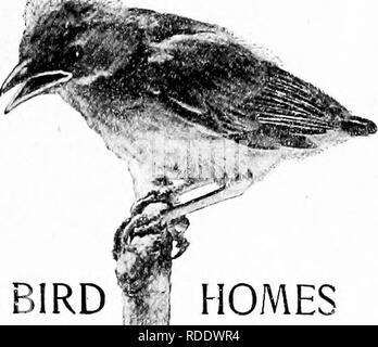 . Maisons d'oiseaux : les nids, les œufs et les habitudes de reproduction La reproduction des oiseaux terrestres à l'Est des États-Unis, avec des notes sur l'élevage et la photographie de jeunes oiseaux . Les oiseaux ; les oiseaux. Maisons d'OISEAUX 11. Veuillez noter que ces images sont extraites de la page numérisée des images qui peuvent avoir été retouchées numériquement pour plus de lisibilité - coloration et l'aspect de ces illustrations ne peut pas parfaitement ressembler à l'œuvre originale.. Radclyffe Dugmore A., (1870), Arthur Radclyffe-. New York : Doubleday &AMP ; McClure Banque D'Images
