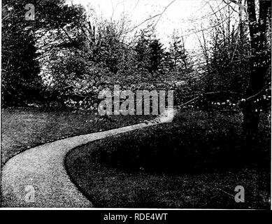. Pelouses, et comment les faire : avec la tenue convenable de putting greens . Les pelouses. La plantation de conifères marginal solides et d'arbustes à feuilles caduques en bordure de la voie publique, assurant ainsi l'intimité absolue. (Voir sur une Lenox estate). Le lit de le muguet a réussi à résoudre le problème de ce qui à l'usine sous les arbres, et il donne aussi une raison de la courbe dans la pelouse à pied photos-T. Veuillez noter que ces images sont extraites de la page numérisée des images qui peuvent avoir été retouchées numériquement pour plus de lisibilité - coloration et l'aspect de ces illustrations ne peut pas parfaitement rese Banque D'Images