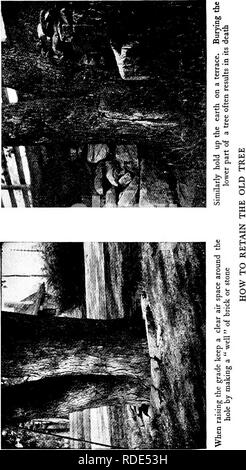 . Pelouses, et comment les faire : avec la tenue convenable de putting greens . Les pelouses. 2 cm. Veuillez noter que ces images sont extraites de la page numérisée des images qui peuvent avoir été retouchées numériquement pour plus de lisibilité - coloration et l'aspect de ces illustrations ne peut pas parfaitement ressembler à l'œuvre originale.. Barron, Leonard, 1868-1938. Garden City, N. Y. : Doubleday, Page &AMP ; Co. Banque D'Images