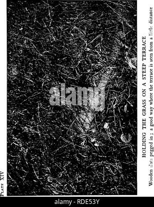 . Pelouses, et comment les faire : avec la tenue convenable de putting greens . Les pelouses. . Veuillez noter que ces images sont extraites de la page numérisée des images qui peuvent avoir été retouchées numériquement pour plus de lisibilité - coloration et l'aspect de ces illustrations ne peut pas parfaitement ressembler à l'œuvre originale.. Barron, Leonard, 1868-1938. Garden City, N. Y. : Doubleday, Page &AMP ; Co. Banque D'Images