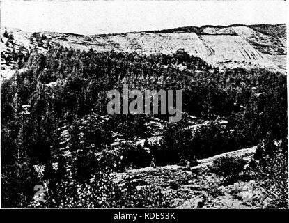 . Études en français foresterie . Les forêts et la foresterie. Fig. 14 (a). - Le ravin au prorata à l'Ubaye (Basses-Alpes) après la remise en état du travail était terminé. (Photo officielle française.) (b). - Un village de montagne dans les Pyrénées menacées par l'érosion. (Photo officielle française.) (c). - La prévention de l'érosion par des plantations de mélèzes dans la région de l'Ubaye (Basses- Alpes). (Photo officielle française.) 166. Veuillez noter que ces images sont extraites de la page numérisée des images qui peuvent avoir été retouchées numériquement pour plus de lisibilité - coloration et l'aspect de ces illustrations ne peut pas parfaitement ressembler à l'ori Banque D'Images