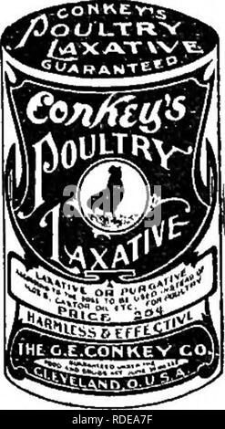 . Conkey's poultry livre : un livre de référence sur l'aviculture. La volaille, volaille, volaille. . Veuillez noter que ces images sont extraites de la page numérisée des images qui peuvent avoir été retouchées numériquement pour plus de lisibilité - coloration et l'aspect de ces illustrations ne peut pas parfaitement ressembler à l'œuvre originale.. G. E. Conkey Company. Cleveland, Ohio.  : G. E. Conkey Co. Banque D'Images