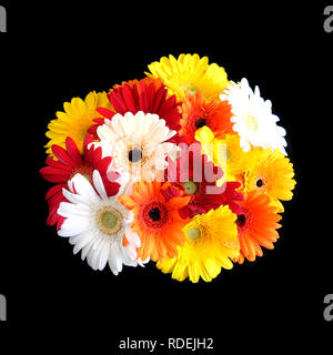 Motley belle ronde bouquet de gerberas multicolores isolé sur fond noir gros plan Vue de dessus Banque D'Images