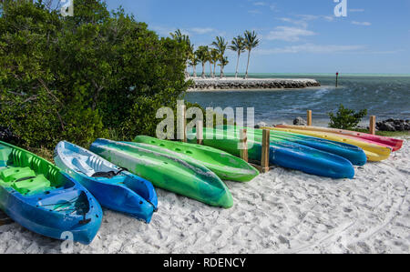 Les kayaks sur une plage de Floride : Une rangée de location de kayaks au bord de lignes d'entrée d'un océan à un parc dans les Florida Keys. Banque D'Images
