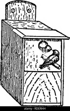 . Méthodes d'attirer les oiseaux. Les oiseaux. Maisons-nidification 23 ventilation. Au cours de la chaleur de la journée, en particulier si les boîtes ne sont pas à l'ombre, l'air à l'intérieur devient très chaud et de l'impur, et le doute- moins les jeunes doivent souffrir considérablement, à moins que des dispositions sont prises pour qu'un changement d'air. Dans la construction des maisons de planches, une fente étroite peut être laissé de chaque côté sous le toit. Une série de petits trous peuvent être percés dans la partie supérieure de l'écorce ou des branches creuses maisons ; nail- trous peuvent être réalisés dans les récipients en étain. Des trous de drainage. - C'est également bien d'ennuyer quelques petits trous quelque part dans la b Banque D'Images