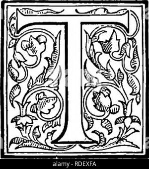 . Le livre de choix de fougères : pour le jardin, véranda, et cuisinière : décrire et donner des orientations culturelles explicites pour le meilleur et le plus frappant de fougères et selaginellas en culture. Illustrés par des plaques de couleur et de nombreuses gravures sur bois, préparés spécialement pour ce travail . Fougères ; Fougères. Chapitre XIII. SCHIZ^A, Smith. (Schiz-æ'-a.) Comh ou Rush Fougères.. Il nom de cette petite et très-difFased genre, composé de plantes totalement distincts dans l'habitude de tous les autres fougères, est dérivé de schizo, à Split, en allusion à l'éventail ou multifid nature des frondes de la plupart des essences Banque D'Images