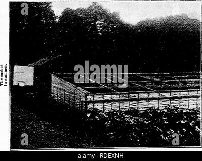 . Dreer's légumes sous verre : un peu comment dire manuel jusqu'au sol durant les douze mois de l'année. Les légumes ; Cold-frames. DREER S LÉGUMES SOUS VERRE. 75 courte portée de plusieurs maisons de la rhubarbe très vaste, l'un de forçage qui est partiellement représenté dans la gravure. Les côtés de la chambre sont recouverts de papier épais et provi- sion est faite pour le chauffage à vapeur. Quand le châssis sont en place, l'immeuble peut être chauffée assez facilement, comme la chaleur n'est pas tourné dans la maison jusqu'à l'hiver est presque terminé. Les détails généraux de construction peuvent être tirées de l'pictu Banque D'Images