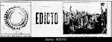 . La Commission de l'assainissement de l'usine et ses travaux. Les maladies des plantes ; les insectes nuisibles. N. Plaque" 2. TERmiMANTEMBNTE Queda prohibido llevar maUs de platanos manzano o Johnson de campo alguno iiifectado por la enfennedad llamada "Panama , llevara tampoco otra cualquiera plantes con tierra en las raices, nl tierra en ningnna forma de dicho campo infectado. No se permite la entrada de Mata de platano ningiina rariedades manzano y de las Johnson en la provincia, de Oriento procedente de alguna otra parte de la Repiiblica. Pas d'ae permite la importacion de matas de platanos sur esta Republica un pas de s Banque D'Images