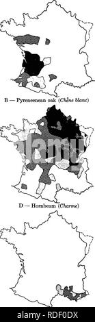 . Études en français foresterie . Les forêts et la foresterie. E - le pin maritime (pin maritime) F - pin d'Alep (Pin d'Alep) Fig. (5) après Jolyet. - Distribution de six importants d'arbres forestiers en France. Key : dominant, flfB ; subordonné, | ing, je |. j ; rare, I : :- : : : : :- ! ; très rare ou manque-. Veuillez noter que ces images sont extraites de la page numérisée des images qui peuvent avoir été retouchées numériquement pour plus de lisibilité - coloration et l'aspect de ces illustrations ne peut pas parfaitement ressembler à l'œuvre originale.. Woolsey, Theodore Salisbury, 1879- ; Greeley, William Buckhout, 1879-. New York : Wiley Banque D'Images