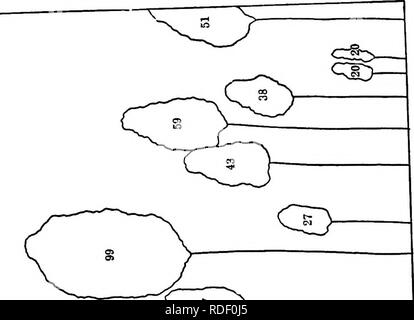 . La pratique de la sylviculture : spécialement en ce qui concerne son application aux États-Unis . Les forêts et la foresterie. SX-gt ;. Veuillez noter que ces images sont extraites de la page numérisée des images qui peuvent avoir été retouchées numériquement pour plus de lisibilité - coloration et l'aspect de ces illustrations ne peut pas parfaitement ressembler à l'œuvre originale.. Hawley, Ralph C. (Ralph Chipman), 1880-. New York : John Wiley & Sons, Inc. ; Banque D'Images