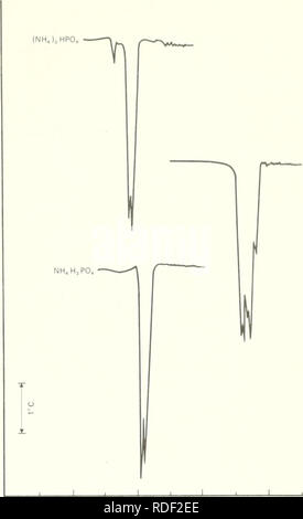 . Effets du sulfate d'ammonium et phosphate sur la pyrolyse et la combustion de la cellulose. Les agents ignifuges ; cellulose Test. Température ambiante ( C ) B-TGA thermograms de (NH^^)2HP0l^^ (INSA et)2S0i^ chauffée à 25° C. par minute dans un débit de 1 litres par minute d'air.. L'INH, l,ainsi. 11. Veuillez noter que ces images sont extraites de la page numérisée des images qui peuvent avoir été retouchées numériquement pour plus de lisibilité - coloration et l'aspect de ces illustrations ne peut pas parfaitement ressembler à l'œuvre originale.. George, C. W. (Charles W. ) cn ; Susott, Ronald A. cn ; Intermountain Forest and Range Experiment Sta Banque D'Images
