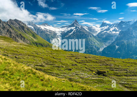 Schreckhorn in den Schweizer Alpen Banque D'Images