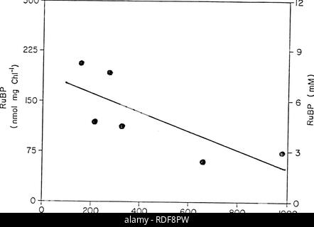 . Effets du dioxyde de carbone sur la physiologie et la biochimie de la photosynthèse dans le soya. Les plantes, effet du dioxyde de carbone sur le soja ; ; la photosynthèse. 92 300. 200 400 600 800 C02 C02 (concentration jx l l) 1000. Veuillez noter que ces images sont extraites de la page numérisée des images qui peuvent avoir été retouchées numériquement pour plus de lisibilité - coloration et l'aspect de ces illustrations ne peut pas parfaitement ressembler à l'œuvre originale.. Campbell, William J.. Banque D'Images