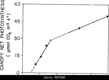 . Effets du dioxyde de carbone sur la physiologie et la biochimie de la photosynthèse dans le soya. Les plantes, effet du dioxyde de carbone sur le soja ; ; la photosynthèse. 87. 0 200 400 600 800 1000 C02 ( jllI C02 I'1). Veuillez noter que ces images sont extraites de la page numérisée des images qui peuvent avoir été retouchées numériquement pour plus de lisibilité - coloration et l'aspect de ces illustrations ne peut pas parfaitement ressembler à l'œuvre originale.. Campbell, William J.. Banque D'Images