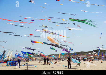 CERVIA, ITALIE - 1 mai : ciel plein de cerfs-volants pour l'International du cerf-volant le 1 mai 2017 à Cervia, en Italie. Ce festival rassemble des cerfs-volistes du monde entier chaque année depuis 1981. Banque D'Images