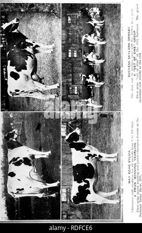 . Alimentation des bovins. Rss ; l'industrie laitière. KS..". Veuillez noter que ces images sont extraites de la page numérisée des images qui peuvent avoir été retouchées numériquement pour plus de lisibilité - coloration et l'aspect de ces illustrations ne peut pas parfaitement ressembler à l'œuvre originale.. Savage, E. S. (Elmer Seth), 1884-1943. Syracuse, N. Y. Banque D'Images