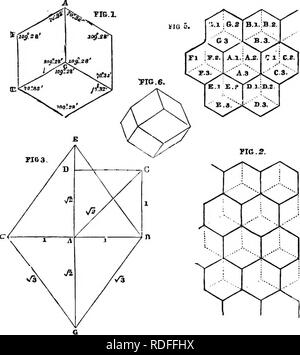 . Des maisons sans les mains. Une description de cours : les habitations des animaux, classées en fonction de leur principe de construction. Les animaux. La ruche abeille. 429 ments de Maraldi. Le lecteur est prié de se souvenir de ces angles. Eeaumur receiviug, sur la réponse, a conclu que l'Abeille avait de très près de résoudre le difficile problème de mathématiques, la différence entre la mesure et le calcul étant smaU qu'il est pratiquement rejetée dans la con- struction d'un objet si petit que l'abeille-cellule.. Les mathématiciens sont évidemment très heureux avec le résultat de l'enquête, car il s Banque D'Images