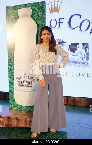 New Delhi, Inde. 17 Jan, 2019. L'actrice de Bollywood pendant le lancement de paras de lait de vache. Credit : Jyoti Kapoor/Pacific Press/Alamy Live News Banque D'Images