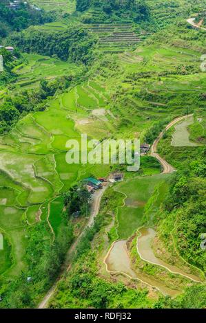 Hapao rice terraces, partie du patrimoine de l'yeux Banaue, Luzon, Philippines Banque D'Images