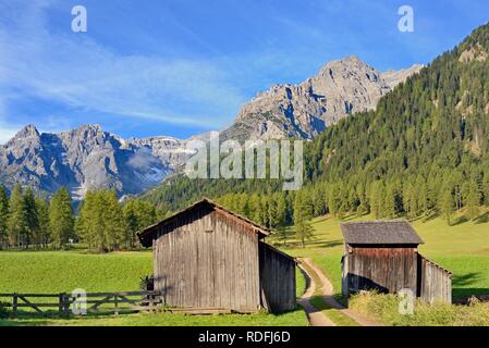 Fischleintal, meules sur les prairies de montagne, forêts de montagne et de montagne, Dolomites de Sexten, Tyrol du Sud, Italie Banque D'Images