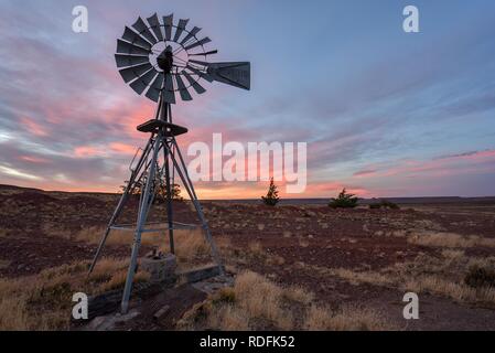 Pampa avec ancien moulin à vent sur une ferme en Bosques Petrificados de Jaramillo, Parc National, Patagonie, Argentine Banque D'Images