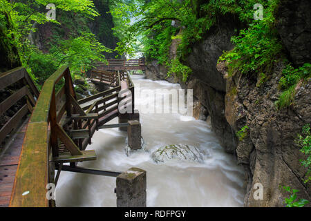 La rivière Weißbach fonctionnant par les Seisenbergklamm / Seisenbachklamm, gorge près de Weißbach bei Lofer, Saalachtal, Salzbourg / Salzburger Land, Austr Banque D'Images