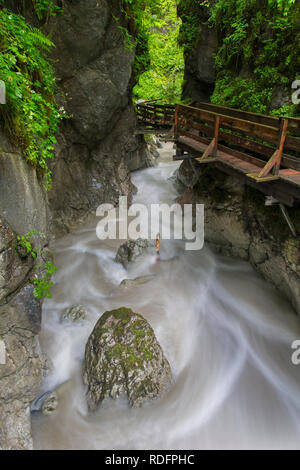 La rivière Weißbach fonctionnant par les Seisenbergklamm / Seisenbachklamm, gorge près de Weißbach bei Lofer, Saalachtal, Salzbourg / Salzburger Land, Austr Banque D'Images