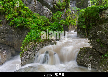 La rivière Weißbach fonctionnant par les Seisenbergklamm / Seisenbachklamm, gorge près de Weißbach bei Lofer, Saalachtal, Salzbourg / Salzburger Land, Austr Banque D'Images