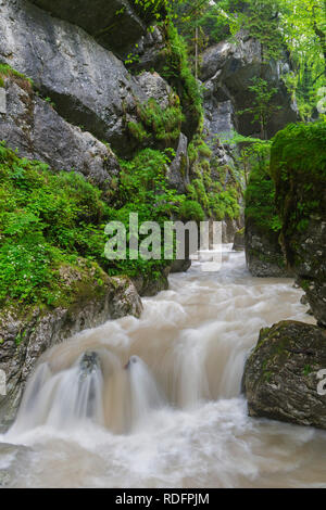 La rivière Weißbach fonctionnant par les Seisenbergklamm / Seisenbachklamm, gorge près de Weißbach bei Lofer, Saalachtal, Salzbourg / Salzburger Land, Austr Banque D'Images