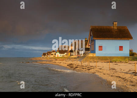 Maisons de Plage sur la presqu'île de Graswarder, Heiligenhafen, Schleswig-Holstein, Allemagne Banque D'Images