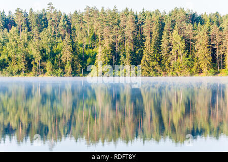 Evergreen incroyable pin et epicea bouleau arbres conifères et également de la forêt avec sa réflexion sur la surface du lac au lever du soleil Banque D'Images