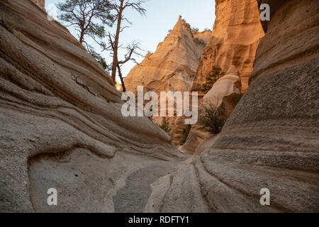 Beau paysage américain lors d'une soirée ensoleillée. Pris dans Kasha-Katuwe Tent Rocks National Monument, New Mexico, United States. Banque D'Images