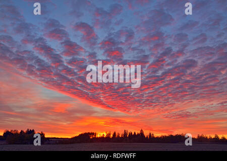 Lever du soleil ciel dans les prairies, de Waskatenau, en Alberta, Canada Banque D'Images