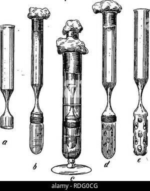 . Le travail en laboratoire de bactériologie. La bactériologie. COLIiODIUM SACS. 499 un test-tube et c'est glissé à l'intérieur du sac. La première ouverture doit être faite dans le bas de l'un tube à essai. Une petite flamme étroit est dirigée contre le bas, et, quand le verre s'est ramolli, il est tpuched avec un morceau de verre des tubes-qui est ensuite avec- tiré. Le verre adhère et est sorti dans une fine capillaire. C'est alors cassé à environ 0,5 cm. d'un tube à essai par un léger tapotement avec le tube de verre. La flamme de l'explosion-lampe est ensuite dirigé contre l'ouverture d'un,donc fait. Les broken edge Banque D'Images