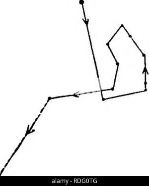 . La puissance de mouvement dans les plantes . Les plantes, la botanique. Chat. I. PINUS ET CYCAS. 57 et en ce moment le filament a été attaché au bout du peu de tige. Certains d'origine inconnue, l'hypocotyle déplacé loin vers la gauche, mais il ne fait aucun doute (Fig. 43) qu'il circunmutated. Un autre a été de l'hypocotyle de même observé, et de même, elle a déménagé dans une ligne en zigzag fortement sur le même côté. Ce mouvement latéral n'a pas été causé par l'attachement de l'lUaments de verre, ni par l'action de la lumière ; pour aucune lumière n'a été admis à l'enti r lorsque chaque observation a été faite, sauf de la verticale. L'hy Banque D'Images