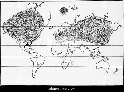 . L'hérédité et l'évolution chez les végétaux. L'hérédité, les plantes. 170 L'hérédité et l'ÉVOLUTION DANS LES PLANTES qu'ils périssent rapidement à moins qu'ils ne trouvent à la fois des conditions adéquates pour la germination et le développement. Ainsi, ils ne pouvaient pas se propager rapidement sur de grandes superficies. À la lumière de ces faits, la seule déduction logique est que leur vaste et répartition discontinue doit avoir besoin d'une grande période de temps. Le tulipier de Virginie, représenté maintenant par un seul genre (Lonicera) et d'un ou peut-être. Fig. 78.-Carte montrant la distribution géographique connue du cyprès chauve (Taxodium) dans le secteur tertiaire et du Pléistocène. Tert Banque D'Images