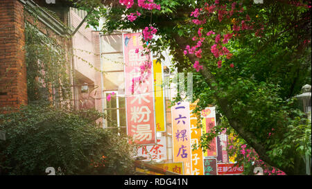 Taipei, Taiwan - Apr 21, 2017 : Monga, ce nom Wanhua, berceau de la ville de Taipei, la ville la plus ancienne rue de l'ombre hat site cuisine bouche Daxi Banque D'Images