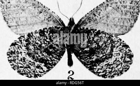 . Rapport de l'Expédition arctique canadienne 1913-1918. Des expéditions scientifiques. .,-^ ? : l. Veuillez noter que ces images sont extraites de la page numérisée des images qui peuvent avoir été retouchées numériquement pour plus de lisibilité - coloration et l'aspect de ces illustrations ne peut pas parfaitement ressembler à l'œuvre originale.. Expédition arctique canadienne (1913-1918). Ottawa, F. A. Acland, Imprimante pour le Roi Banque D'Images