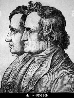 Jacob et Wilhelm Grimm, les frères Grimm, 1785 - 1863, portrait, illustration historique, 1880 Banque D'Images